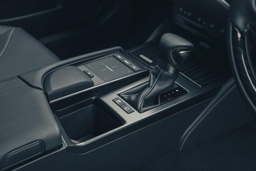 Детали интерьера Lexus ES300h with Digital Door Monitors 2020 года  (UK) (фото 13 из 40)